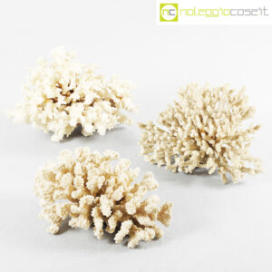 Corallo bianco set medio grande