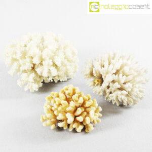 Corallo bianco set medio piccolo