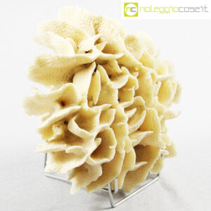 Minerali corallo spugna pietra