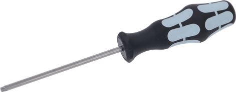 CACCIAVITE SPECIALE IN ACCIAIO INOX
