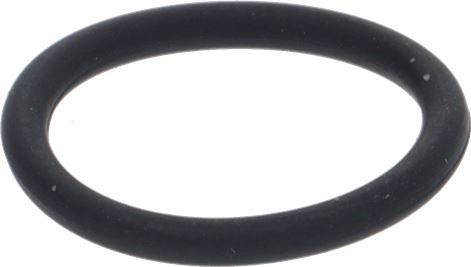 O 2031 IN EPDM