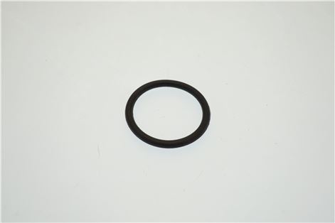 ANELLO O-RING COLLETTORE
