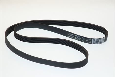 Belt 8PJE