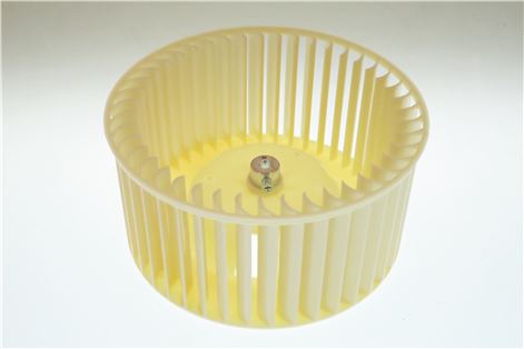 VENTOLA