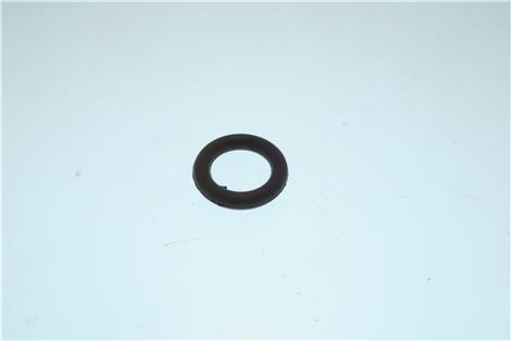 GUARNIZ.OR 109