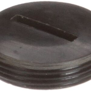 BRUSH CAP