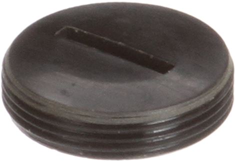 BRUSH CAP