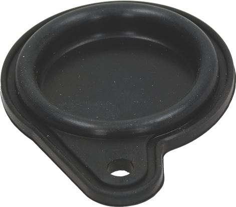 MEMBRANA