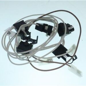 GR CATENR ACCS 5F PGF95 2