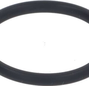 BEARING HOLDER O RING