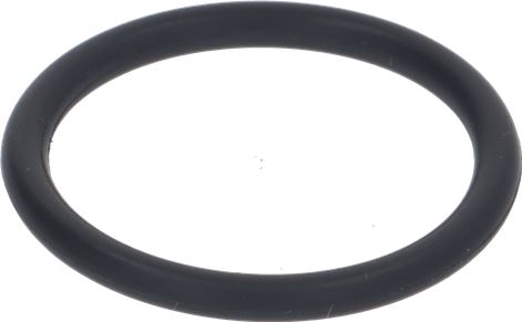 BEARING HOLDER O RING