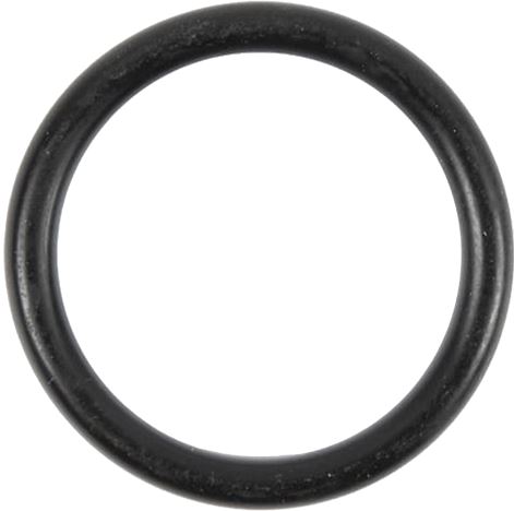 GUARNIZIONE O RING ELECTROLUX 5028265000