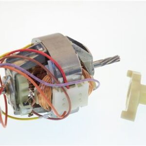 MOTOR ASSY 230V-WITH MOULDING