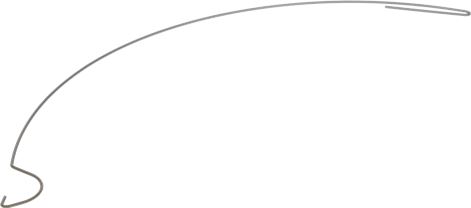 AGITATOR SPRING LONG MODEL NIO FOR DE