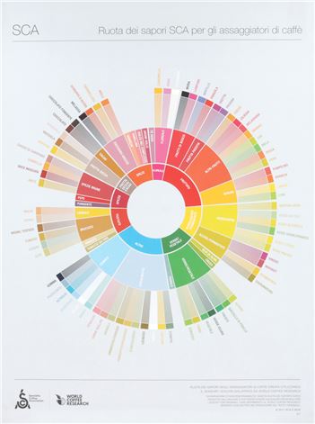 THE COFFEE TASTER'S FLAVOR WHEEL