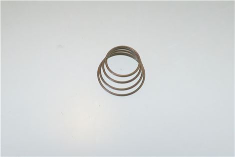 MOLLA(F)SUPPORTO POMPA (AISI302)     EN5