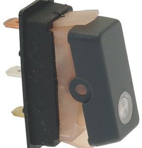INTERRUTTORE BIPOLARE 10A 250V