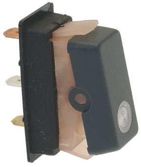 INTERRUTTORE BIPOLARE 10A 250V