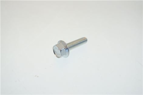 VITE FLANGIATA TE M5X20 MM ZINCATA