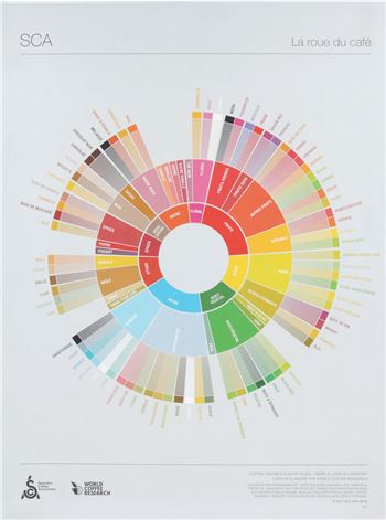 THE COFFEE TASTER'S FLAVOR WHEEL
