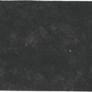 FILTRO PROTEZIONE MOTORE BOSCH 00419959