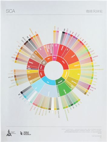 THE COFFEE TASTER'S FLAVOR WHEEL