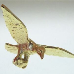 AQUILA GRANDE BAR PER VENUS
