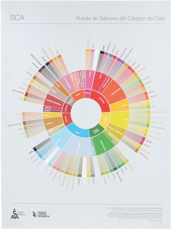 THE COFFEE TASTER'S FLAVOR WHEEL