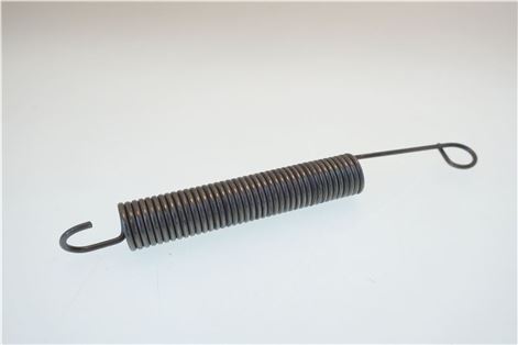 MOLLA CERNIERA PORTA INDESIT C00075689
