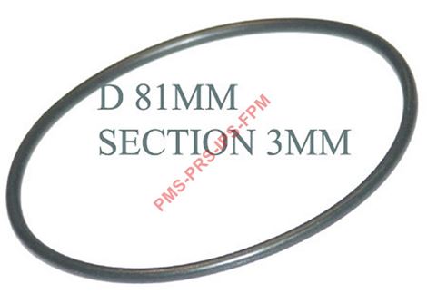 GUARNIZIONE POZZETTO  AS0022042