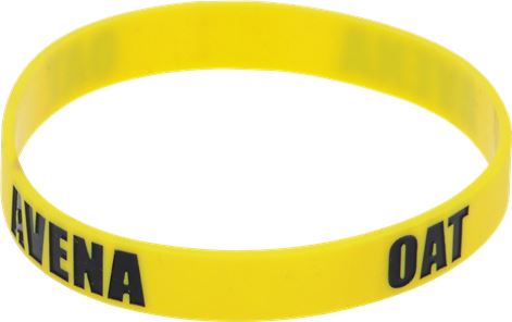 GOMMINA PER LATTIERA AVENA/OAT 0,50 L