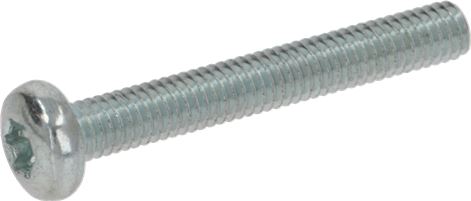 VITE A TESTA CILINDRICA M4 X 30 T20