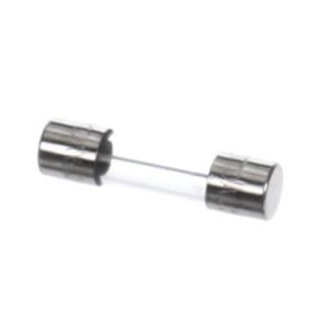 FUSE SLO BLO 10A 250V