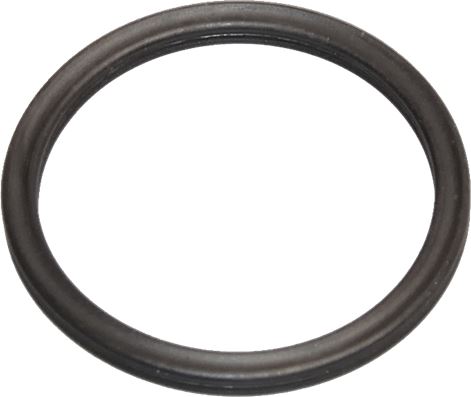 X ring 18.77 x 1.78