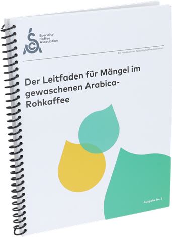 DER LEITFADEN FÜR MÄNGEL IM GEWASCHENEN