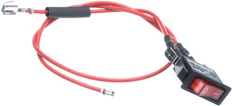SWITCH WITH LEADS
