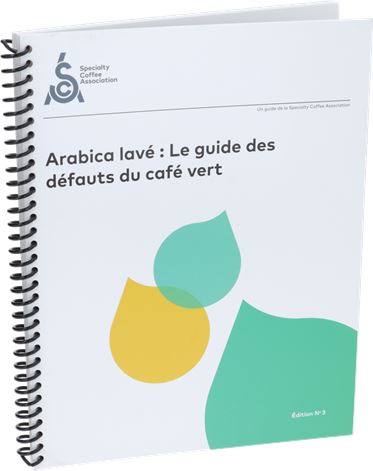 ARABICA LAVÉ: LE GUIDE DES DÉFAUTS DU CA