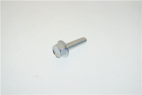 VITE FLANGIATA TE M5X20 MM ZINCATA