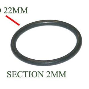 O RING COLLETTORE INTERNO