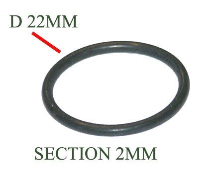 O RING COLLETTORE INTERNO