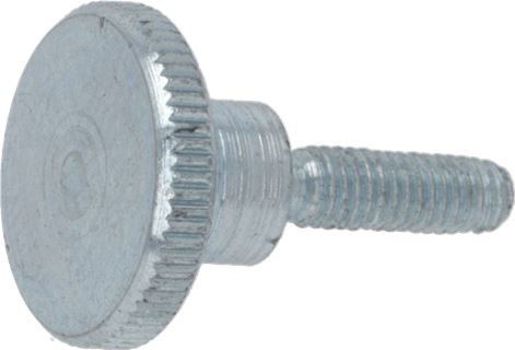 VITE TESTA ZIGR. UNI6049 M3x10