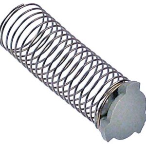 VALVE FOR MILK FOAMER WITH SPRING