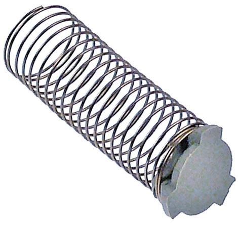 VALVE FOR MILK FOAMER WITH SPRING