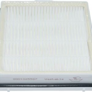 FILTRO IGIENICO HEPA BOSCH 00579494