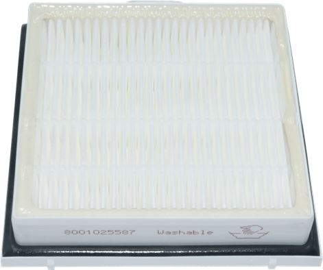 FILTRO IGIENICO HEPA BOSCH 00579494