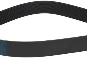 CINGHIA POLY V 1562 L615 16N