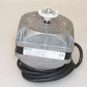 MOTORE 5W