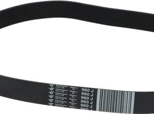 CINGHIA POLY V 960J H28 11 GOLE