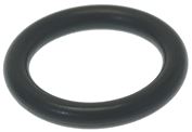 GUARNIZIONE ORM 0100-20 EPDM