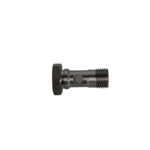 BULLONE RVS G1/8